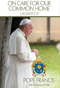 This is the cover of the English edition of Pope Francis' encyclical on the environment, "Laudato Si', on Care for Our Common Home." The long-anticipated encyclical was released at the Vatican June 18. (CNS photo/courtesy U.S. Conference of Catholic Bishops) See stories slugged ENCYCLICAL- June 18, 2015.